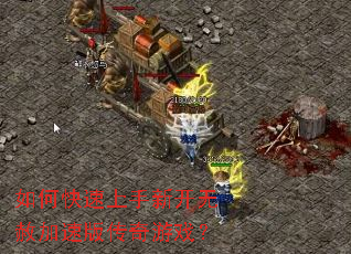 ��ο��������¿�������ٰ洫����Ϸ��