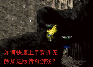 ��ο��������¿�������ٰ洫����Ϸ��