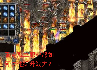 ����¾��ְҵ����ο�������ս����