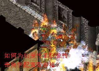 如何为仙罡传单职业传奇角色配置双命格? 如何为仙罡传单职业传奇角色配置双命格?