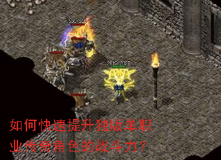 ��ο����������浥ְҵ�����ɫ��ս������