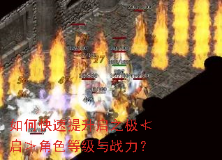 ��ο���������֮�������۽�ɫ�ȼ���ս����