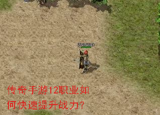 ��������12ְҵ��ο�������ս����