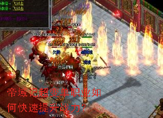 ����ǳ��䵥ְҵ��ο�������ս����