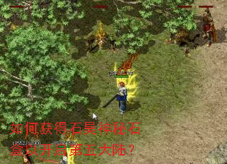 ��λ��ʯ�����ʯ���Կ��������½��