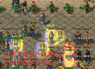 ��ο��������������紫���ɫ�ĵȼ���