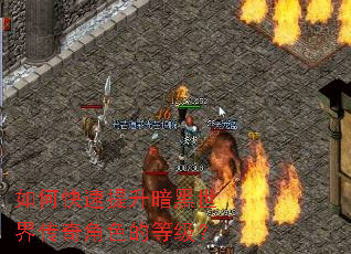 ��ο��������������紫���ɫ�ĵȼ���