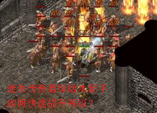 ��ʧ������̰汾������ο��������ȼ���