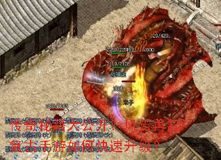 �����ؼ��󹫿����������𸴹�������ο���������