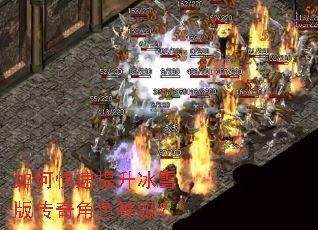 ��ο���������ѩ�洫���ɫ�ȼ���