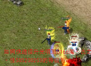 ��ο�������������5166ħ����֮������505200253�ĵȼ���ս����