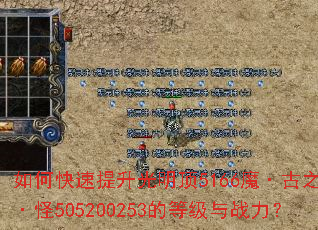 ��ο�������������5166ħ����֮������505200253�ĵȼ���ս����