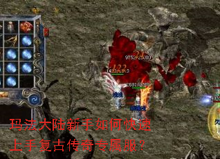 �귨��½������ο������ָ��Ŵ���ר������