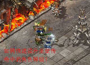 ��ο�������ʥ�ʴ����еĽ�ɫ�ȼ���