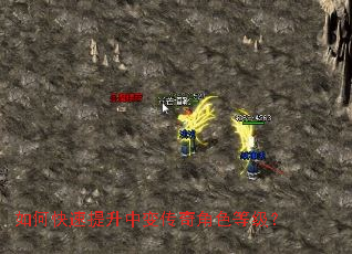 ��ο��������б䴫���ɫ�ȼ���