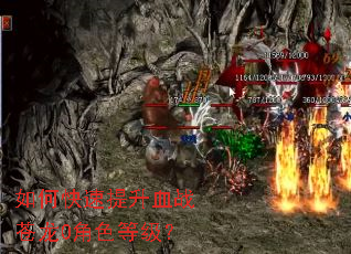 ��ο�������Ѫս����0��ɫ�ȼ���