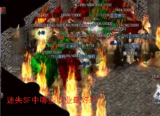 ��ʧSF����Щְҵ����棿