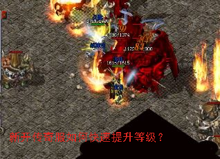 �¿��������ο��������ȼ���