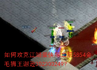 ��ι��˽��������V����5854��ëʨ��лѷ302300249��