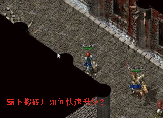 ���°�ש����ο���������