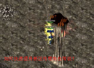 ��ο����������������ɫ�ȼ���