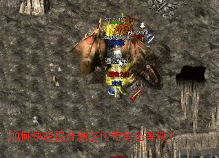 ��ο����������������ɫ�ȼ���