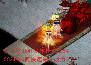 �񽣹�3641�������205400249��ο�������ս����