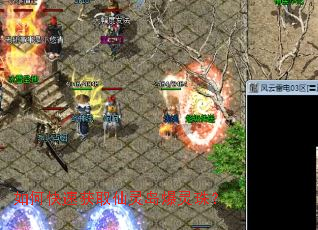 ��ο��ٻ�ȡ���鵺�����飿