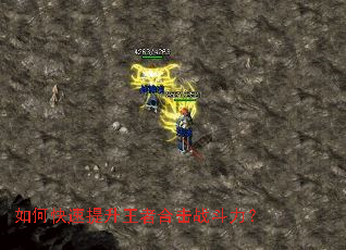 ��ο����������ߺϻ�ս������