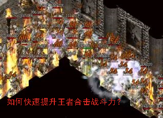 ��ο����������ߺϻ�ս������