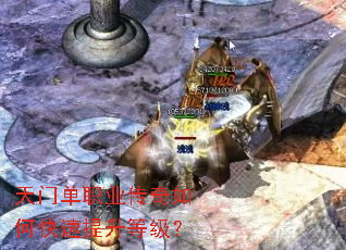 ���ŵ�ְҵ������ο��������ȼ���