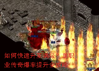 ��ο���������������ְҵ���汬������ȫ����