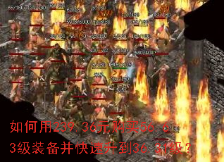 �����239.36Ԫ����56.63��װ������������36.31����