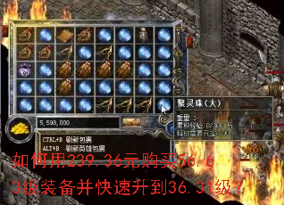 �����239.36Ԫ����56.63��װ������������36.31����