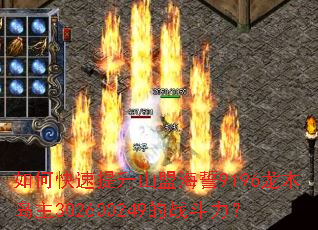 如何快速提升山盟海誓9196龙木岛主302600249的战斗力? 如何快速提升山盟海誓9196龙木岛主302600249的战斗力?