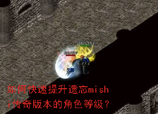 如何快速提升遗忘mishi传奇版本的角色等级? 如何快速提升遗忘mishi传奇版本的角色等级?