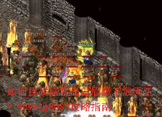 �����ս���͵���üӥ����������9696��BOSS����ָ��