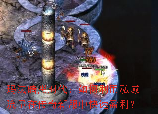 玛法暗黑时代:如何利用私域流量在传奇新服中快速盈利? 玛法暗黑时代:如何利用私域流量在传奇新服中快速盈利?