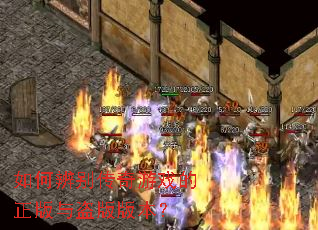 如何辨别传奇游戏的正版与盗版版本? 如何辨别传奇游戏的正版与盗版版本?