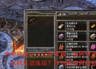 传奇私服小小法师求救:如何快速爆装?怎样高效练级?PK制胜有何绝招? 传奇私服小小法师求救:如何快速爆装?怎样高效练级?PK制胜有何绝招?