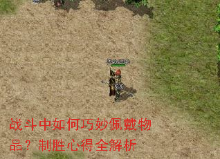 战斗中如何巧妙佩戴物品?制胜心得全解析 战斗中如何巧妙佩戴物品?制胜心得全解析