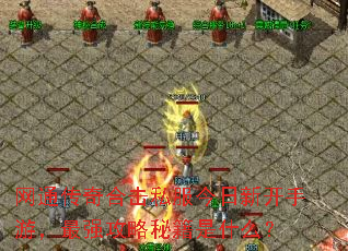 网通传奇合击私服今日新开手游,最强攻略秘籍是什么? 网通传奇合击私服今日新开手游,最强攻略秘籍是什么?