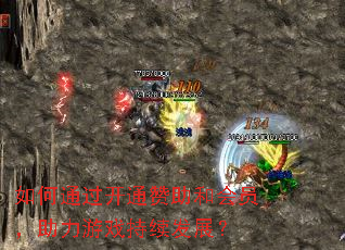 如何通过开通赞助和会员,助力游戏持续发展? 如何通过开通赞助和会员,助力游戏持续发展?