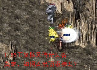 1.85������紫��װ����������μ���������װ��