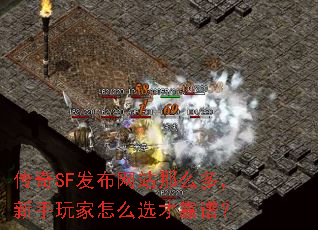 传奇SF发布网站那么多,新手玩家怎么选才靠谱? 传奇SF发布网站那么多,新手玩家怎么选才靠谱?