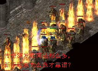 传奇SF发布网站那么多,新手玩家怎么选才靠谱? 传奇SF发布网站那么多,新手玩家怎么选才靠谱?