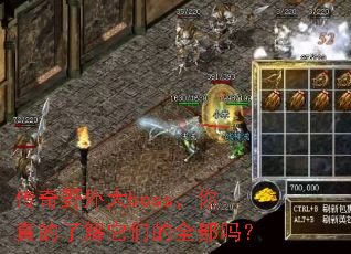 传奇野外大boss,你真的了解它们的全部吗? 传奇野外大boss,你真的了解它们的全部吗?