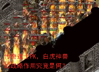 传奇道士PK,白虎神兽的战略作用究竟是何? 传奇道士PK,白虎神兽的战略作用究竟是何?