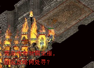 青岛传奇制霸全服,独家攻略何处寻? 青岛传奇制霸全服,独家攻略何处寻?