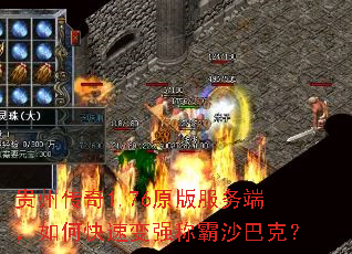 贵州传奇1.76原版服务端,如何快速变强称霸沙巴克? 贵州传奇1.76原版服务端,如何快速变强称霸沙巴克?